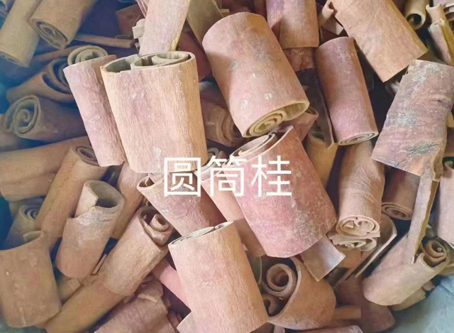 圓筒桂